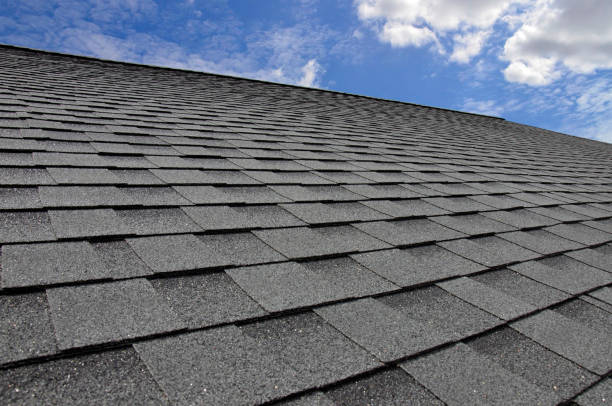 Best 4 Ply Roofing  in USA